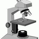 06-microscopio